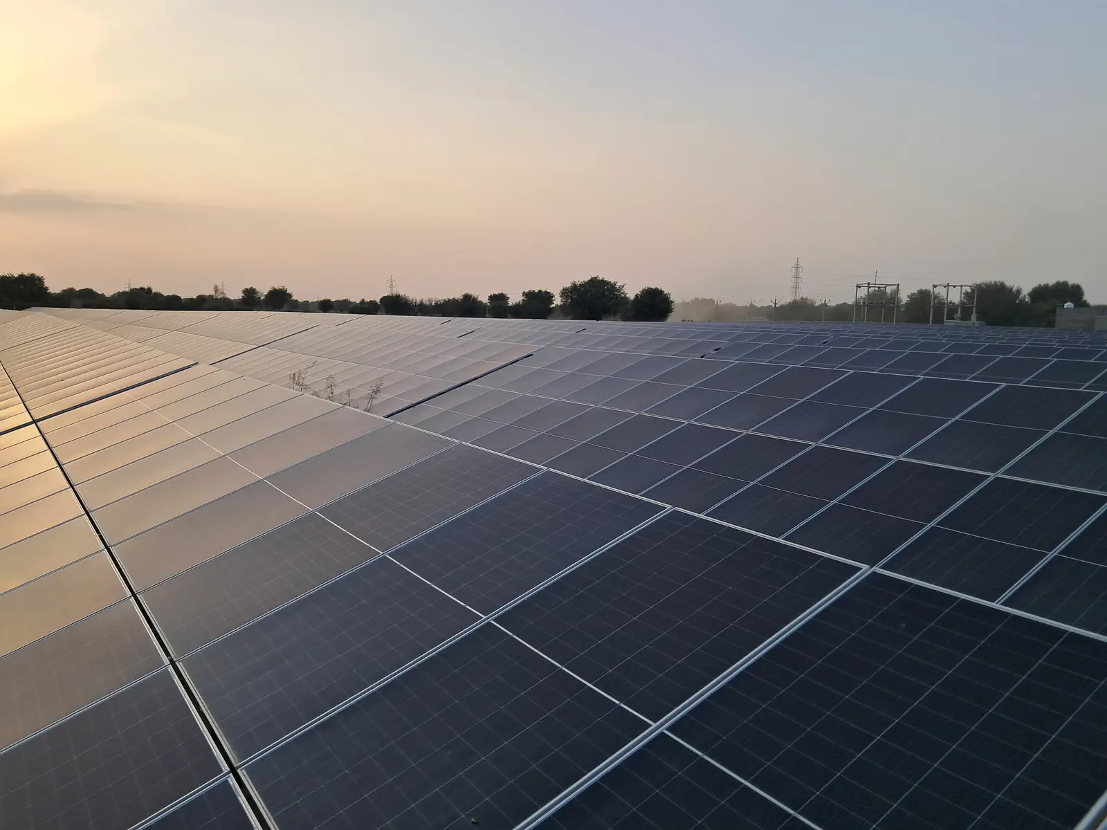 Rows of solar modules in the evening light