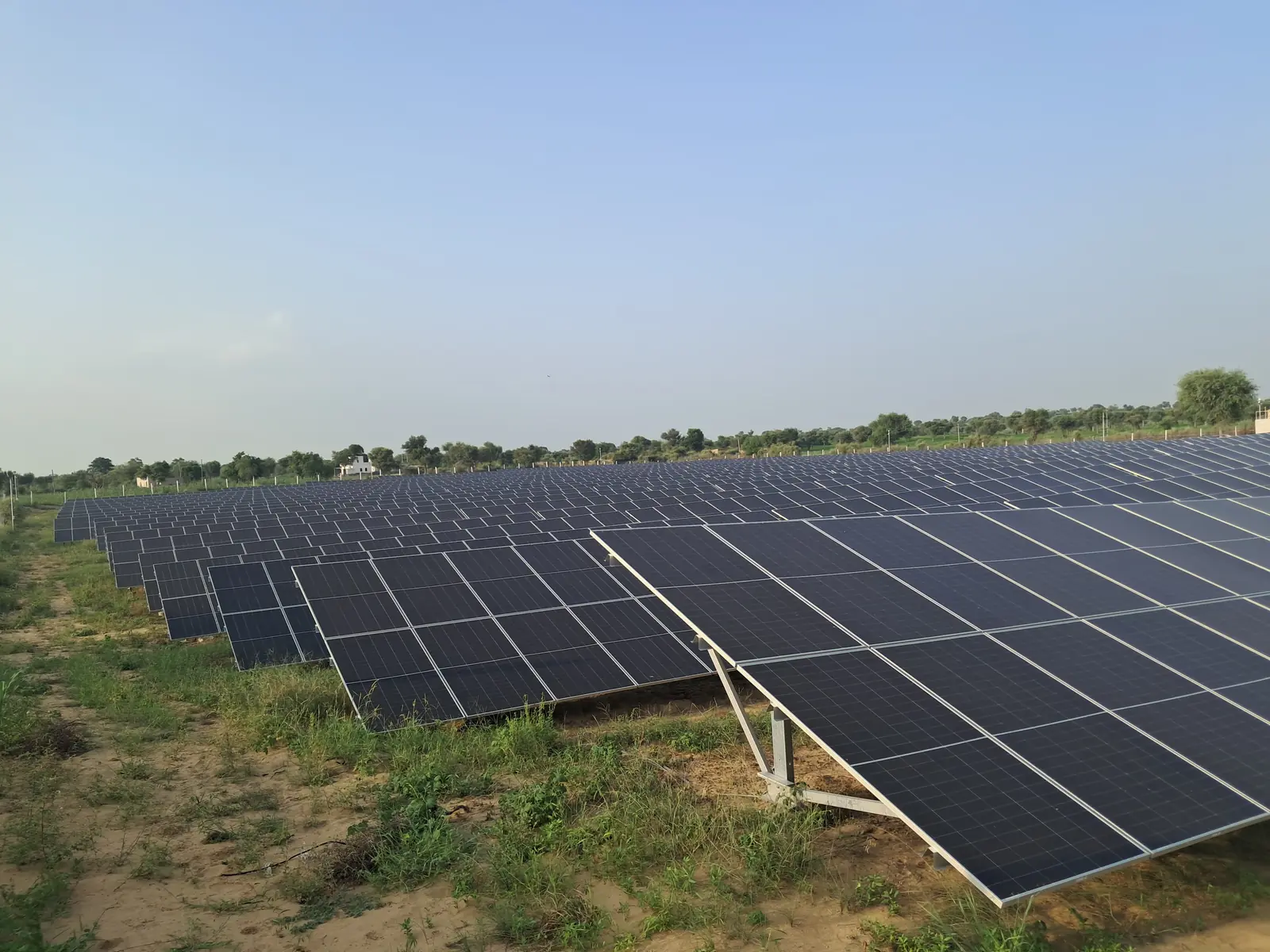 Rows of solar modules on tilted mounting structures in an open field, with trees along the horizon